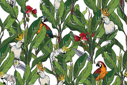 Multicolor Cockatoo Parrots in Banana Leaves, Exotic Birds in Jugnle Textile Design, Red Flowers, Tropical Leaves, Cockatoo Print