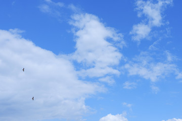 神奈川県横浜市 みなとみらい周辺の風景