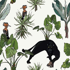 Wildlife Pantera with Hoopoe Birds in Exotic Jungle Plants, Wildlife Tropical Illustration