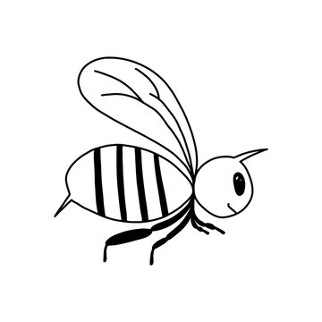 A single bee in the style of Doodle.Black - and-white image of an insect.Contour drawing of a cute bee.Children s drawing.Vector image