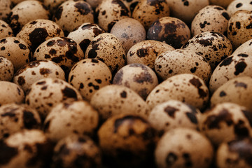Fototapeta premium many quail eggs, easter pattern. selective focus, film and grain photo