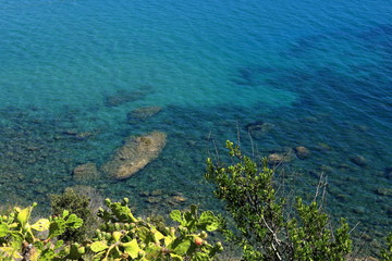 Fototapeta na wymiar Scorcio marino con colori blu ed azzurro e macchia mediterranea