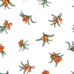 Seamless pattern with sea buckthorn berries and leaf, Watercolor design for packaging herbal tea, natural cosmetic, oil, berryes jam. Endless sea-buckthorn pattern for wrapping paper