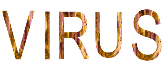 Virus writting with letter on white background