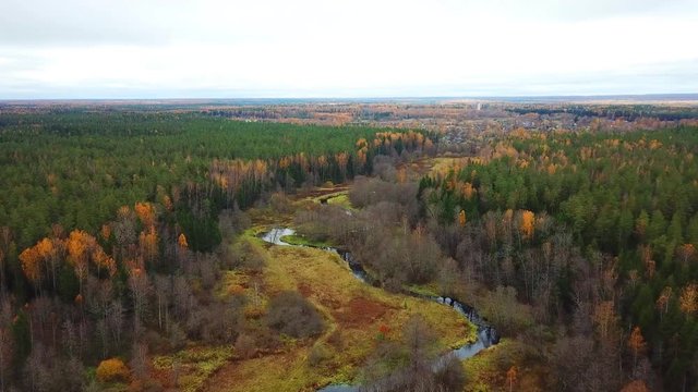 Autumn in the forest. Ovsyanka River, Smolovskoye Lake and Smolovka Village.
