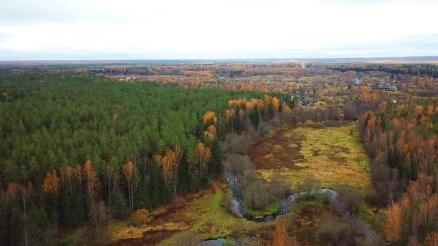 Autumn in the forest. Ovsyanka River, Smolovskoye Lake and Smolovka Village.