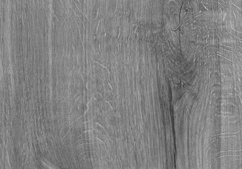 Obraz premium A Grey wooden texture with natural patterns. Design for floor, walls, cases, bags, foil and packaging