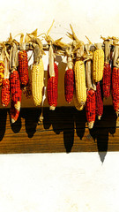 Fototapeta premium dry corn on the wall at Korean traditional house