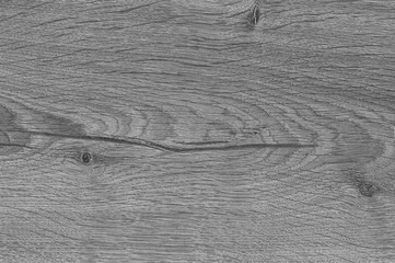 A Grey wooden texture with natural patterns. Design for floor, walls, cases, bags, foil and packaging