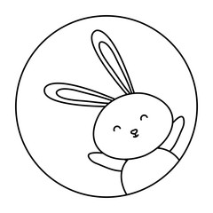 cute rabbit animal in frame circular vector illustration design
