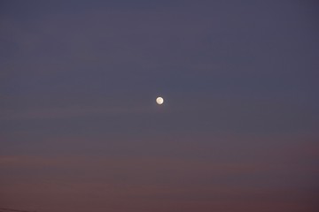Moon