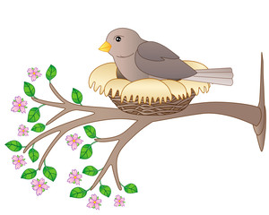 A bird sits in a nest on a flowering spring branch - vector full color picture. A small bird - a sparrow hatches eggs in a cozy nest on a tree with pink flowers and tender young leaves.