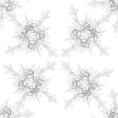 Fototapeta premium Beautiful tropical flower botany art illustration