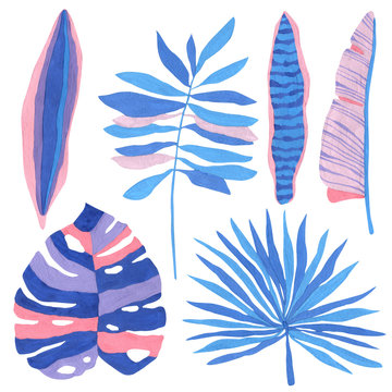 Tropical leaves hand-drawn in gouache in blue, pale blue and pale pink with veins in high resolution. Tropical leaf clipart for decor