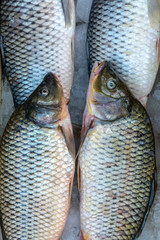 fishes in bazaar 