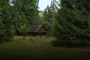 cottage in the forest