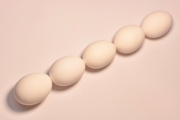 A diagonal line of oval chicken eggs lined up by a chain in a bed pink peach color.
