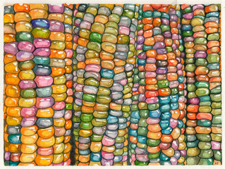 Decorative corn watercolor aquarelle illustration