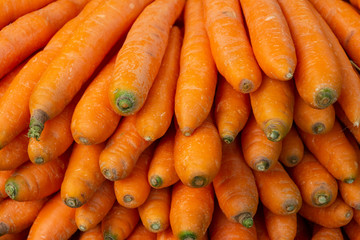fresh carrots on market