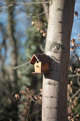 Vogelhaus am Baum Vogelhäuschen Nistkastsen im Frühling