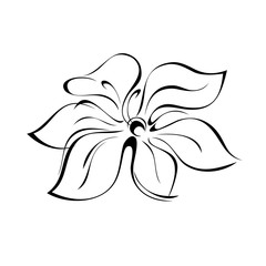 ornament 1082. one stylized flower with large petals without a stem in black lines on a white background