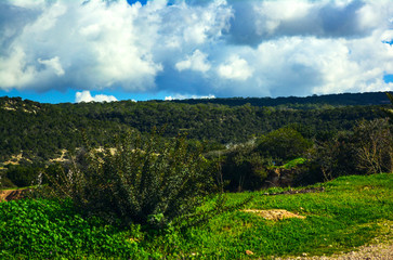 green landscape with blue sky and clouds