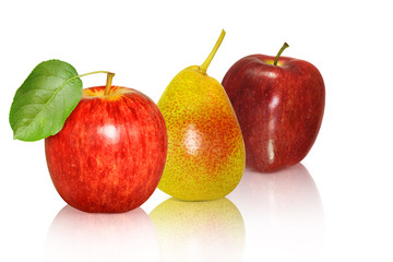 Obst 769