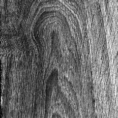 A Wood structure on a black and white background, suitable for cover and cover sheet. Ideas for your graphic design, banner, poster, packaging, for site or more