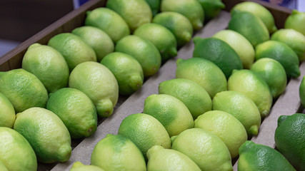 Green lemons on the counter in the store.