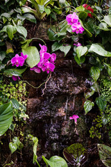 Decorative waterfall with tropical plants and a pink orchid in a greenhouse.