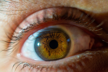 ojo macro