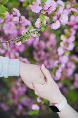 Mother holding hand her child on the background of sakura blossom
