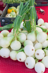 Organic sweet onion bunches with blurry squash crate background at market stand in Washington, USA