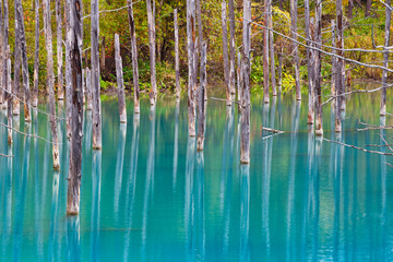 Shirogane Blue Pond, Hokkaido, Japan 