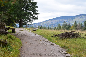 road in the mountains