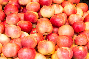 Fototapeta na wymiar red delicious apple