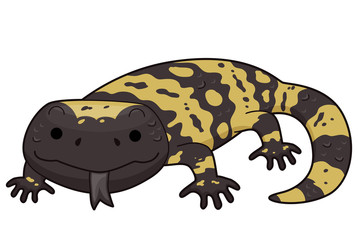 Gila Monster Illustration