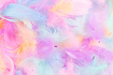 Fototapeta na wymiar Colorful feather background, isolated on white.