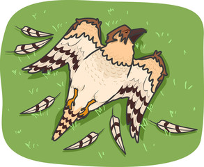 Birds Of Prey Dead Wild Crime Illustration