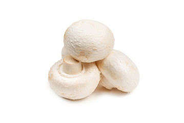 Champignon mushroom isolated on white background.