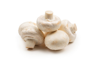 Champignon mushroom isolated on white background.