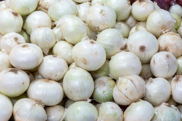 close up of white onions