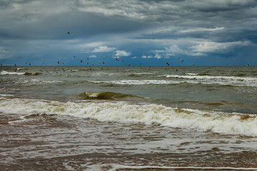 Coast of Baltic sea.