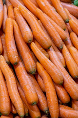 raw carrots in bazaar