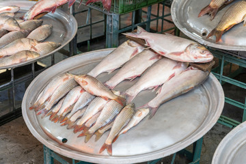 fishes in bazaar 