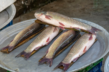 fishes in bazaar 
