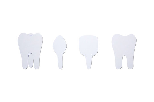 type of tooth ( incisor, canine, premolar, molar ) - dental cartoon paper cut style