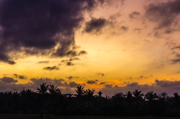Fototapeta na wymiar Amazing sunrise view in Ubud, Bali, Indonesia