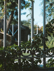 wrought iron fence