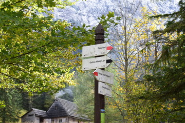 wooden sign in the park